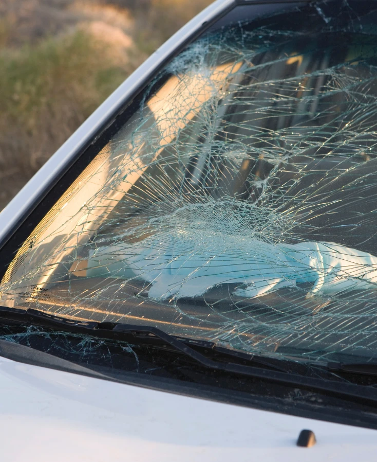 sostituzione parabrezza messina autocarrozzeria messina (6)